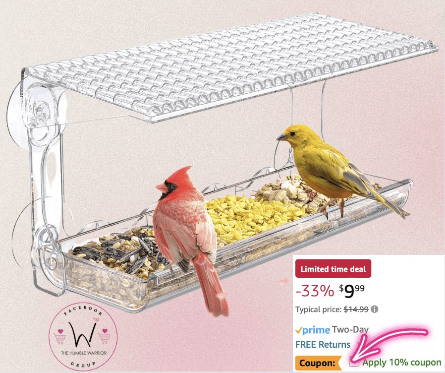 Window Bird Feeder!
